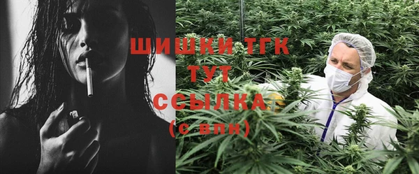 ECSTASY Каменногорск